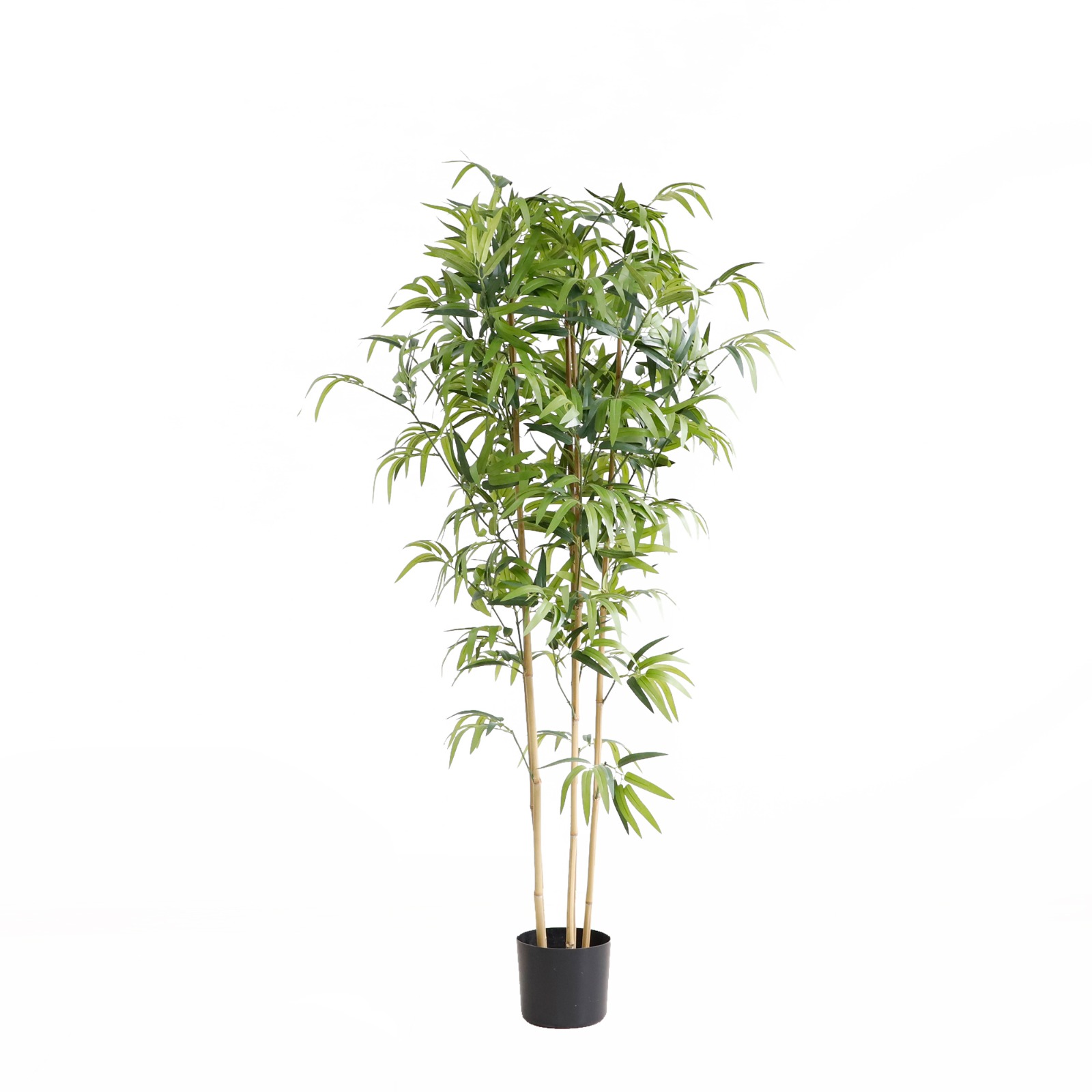 prima terra Biombo Bambú - 158 x 60 cm - Bloomling - Tienda online España